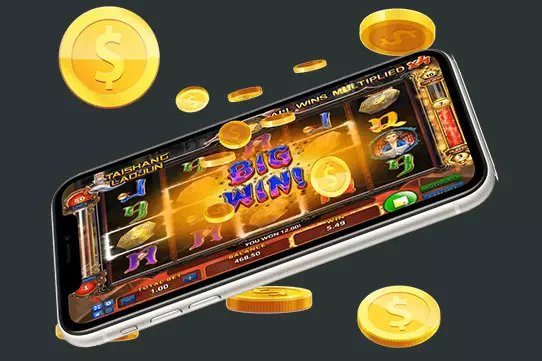 456 bet